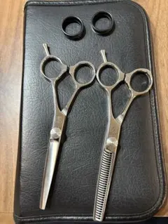 2026年最新】サクシード シザーの人気アイテム - メルカリ