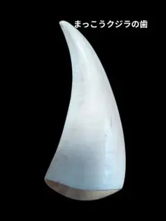 2026年最新】マッコウクジラ 牙の人気アイテム - メルカリ