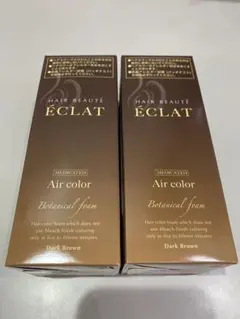 2026年最新】ヘアボーテエクラボタニカルエアカラーフォームダーク