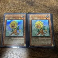 2026年最新】遊戯王 ダンディ 英語の人気アイテム - メルカリ