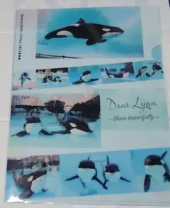 2026年最新】名古屋港水族館 りんの人気アイテム - メルカリ