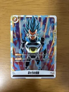 2026年最新】蒼き力の覚醒 パラレルの人気アイテム - メルカリ