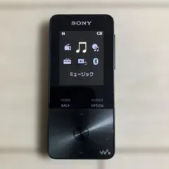 2026年最新】sony ウォークマン nw-s315の人気アイテム - メルカリ