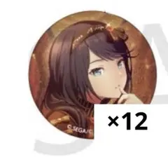 2026年最新】星乃一歌 缶バッジ 28cの人気アイテム - メルカリ