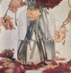 2026年最新】唾奇 レコードの人気アイテム - メルカリ