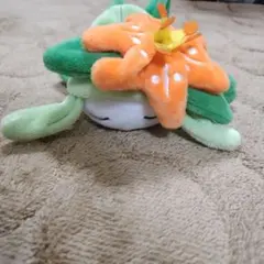 2026年最新】ドレディア くったりの人気アイテム - メルカリ