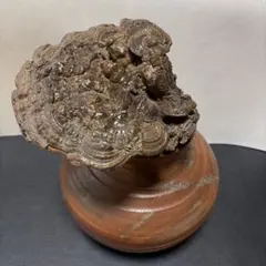 2026年最新】古備前の人気アイテム - メルカリ