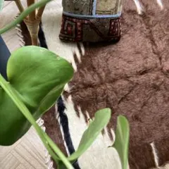 2026年最新】バッターニエ トルコの人気アイテム - メルカリ