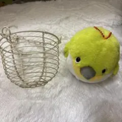 2026年最新】メジロ 鳥かごの人気アイテム - メルカリ