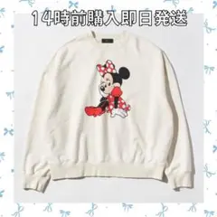 2026年最新】wcj ミニーの人気アイテム - メルカリ