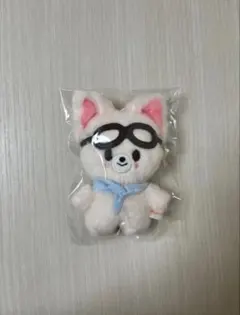 2026年最新】SKZOO 10cm アイエンの人気アイテム - メルカリ