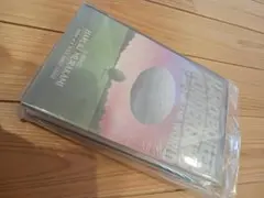 ☆超レア 洋書 限定本 Lagon#3 タイガー立石 ポップアート インテリア