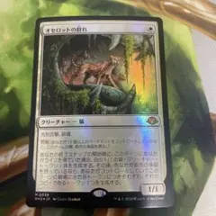 2026年最新】オセロットの群れの人気アイテム - メルカリ