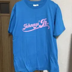 2026年最新】わっしょいCAMP tシャツ スカイブルーの人気アイテム