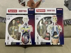 2026年最新】supreme シュプリームmale anatomyの人気アイテム - メルカリ