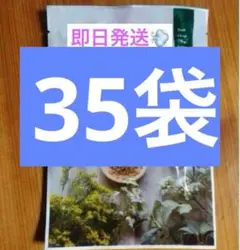 2026年最新】yosa ハーブの人気アイテム - メルカリ