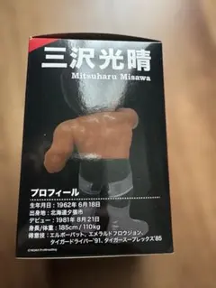 2026年最新】三沢光晴 フィギュアの人気アイテム - メルカリ