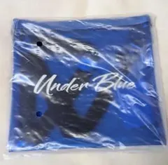 2026年最新】eve under blueの人気アイテム - メルカリ