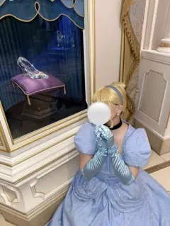 2026年最新】シンデレラ dハロの人気アイテム - メルカリ