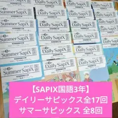 2026年最新】デイリーサピックス 3年の人気アイテム - メルカリ