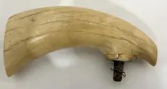 2026年最新】マッコウクジラ 歯 牙の人気アイテム - メルカリ