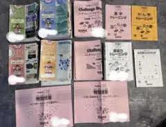 2026年最新】デイリーサピックス 3年の人気アイテム - メルカリ