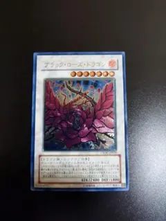 2026年最新】ブラックローズドラゴンの人気アイテム - メルカリ