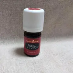 2026年最新】エクソダス ヤングの人気アイテム - メルカリ