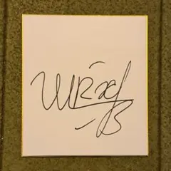 2026年最新】朝倉未来 サイン 色紙の人気アイテム - メルカリ