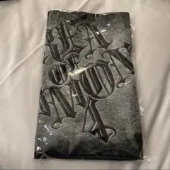 2026年最新】ちゃんみな タオルの人気アイテム - メルカリ