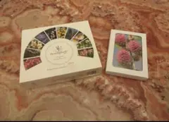 2026年最新】バッチフラワーレメディ 本の人気アイテム - メルカリ