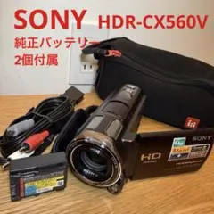 2026年最新】HDR-CX590の人気アイテム - メルカリ