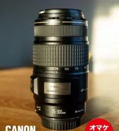2026年最新】Canon LENS EF 75-300mm 1:4-5.6の人気アイテム - メルカリ