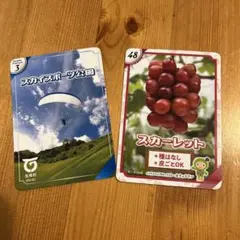 2026年最新】生坂村 カードの人気アイテム - メルカリ