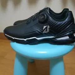 2026年最新】SHG100の人気アイテム - メルカリ