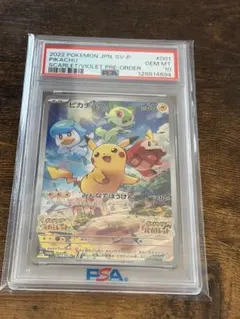 2026年最新】ピカチュウワールド psa10の人気アイテム - メルカリ