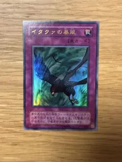 2026年最新】イタクァの暴風の人気アイテム - メルカリ