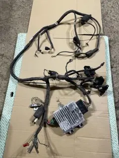 2026年最新】メインハーネス ズーマーの人気アイテム - メルカリ