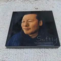 2026年最新】softly 山下達郎の人気アイテム - メルカリ