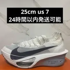 2026年最新】アルファフライ3 25の人気アイテム - メルカリ