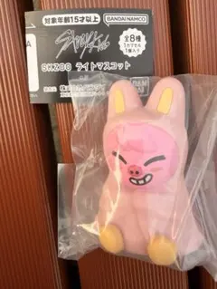 2026年最新】skzoo チャンビン dwaekkiの人気アイテム - メルカリ