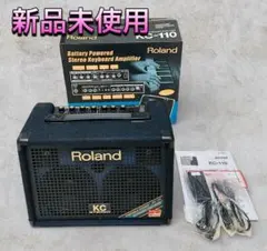 2026年最新】ROLAND KC-110の人気アイテム - メルカリ