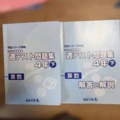 2026年最新】四谷大塚週テスト問題集4年の人気アイテム - メルカリ
