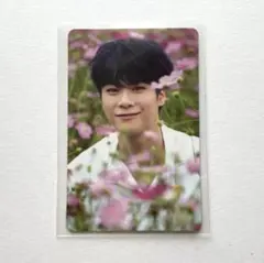 2026年最新】ムンビントレカの人気アイテム - メルカリ