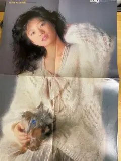 2026年最新】中森明菜 ポスタ-の人気アイテム - メルカリ