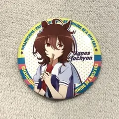 2026年最新】アグネスタキオン 缶バッジの人気アイテム - メルカリ