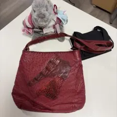 2026年最新】イビザ クロコダイルの人気アイテム - メルカリ