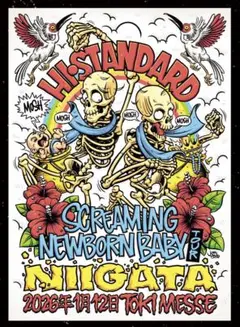 2026年最新】hi standard ポスターの人気アイテム - メルカリ