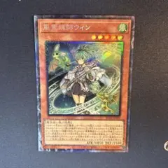 2026年最新】風霊媒師ウィンの人気アイテム - メルカリ