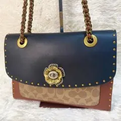 2026年最新】coach ティーローズの人気アイテム - メルカリ